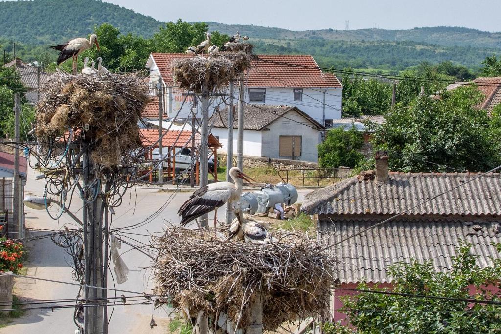 Stojakovo village, North Macedonia